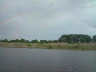 Дігтярі з panoramio.com