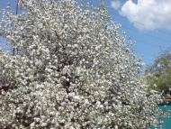 Теплогірськ з panoramio.com