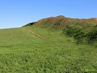 Садове з panoramio.com