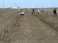 Вознесенка з panoramio.com