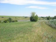 Писарівка з panoramio.com