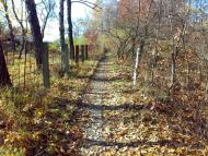 Щасливе з panoramio.com