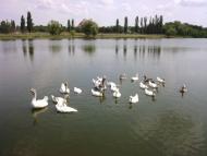 Світле з panoramio.com