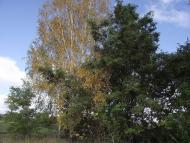 Михайлівка з panoramio.com