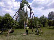 Верба з panoramio.com