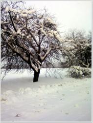 Пашківка з panoramio.com