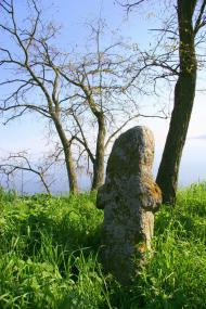 Ходорів з panoramio.com