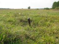 Лютенські Будища з panoramio.com