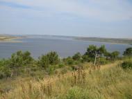 Паліївка з panoramio.com