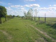 Привільне з panoramio.com