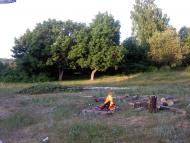 Верба з panoramio.com