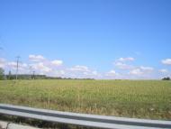 Герасимівка з panoramio.com