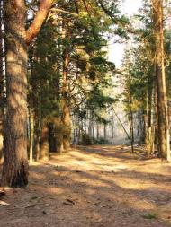 Малійки з panoramio.com