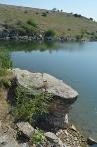 Стила з panoramio.com