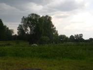 Хрипівка з panoramio.com