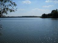 Кошляки з panoramio.com