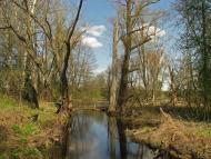 Олепіри з panoramio.com