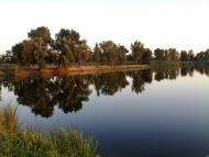 Гупалівка з panoramio.com