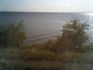 Малокатеринівка з panoramio.com