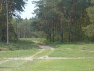 Загрунівка з panoramio.com