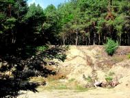 Старосілля з panoramio.com