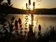 Дністрівка з panoramio.com