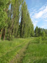 Привітне з panoramio.com