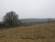 Баламутівка з panoramio.com