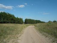 Сизе з panoramio.com