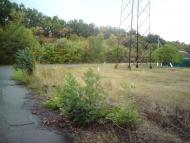 Миколаївка з panoramio.com