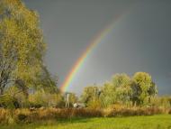 Прохори з panoramio.com