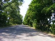 Швайківка з panoramio.com