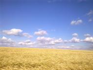 Юр'ївка з panoramio.com