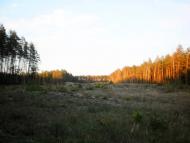 Скрипаї з panoramio.com