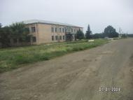 Петрівка з panoramio.com