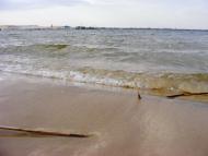 Кардашинка з panoramio.com