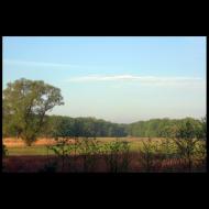 Щурівка - Останні фото