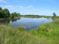 Півнівщина з panoramio.com