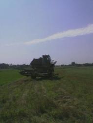 Бирине з panoramio.com