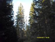 Орявчик з panoramio.com