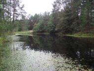 Космачів з panoramio.com