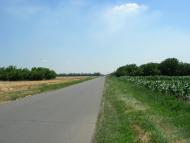 Свистунове з panoramio.com