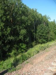 Мала Олександрівка з panoramio.com