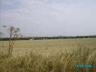 Терлівка з panoramio.com