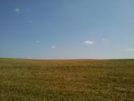 Кошляки з panoramio.com