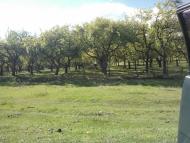 Бабичі з panoramio.com