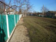 Чайкине з panoramio.com