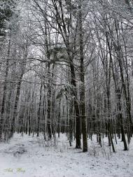 Руська Гута з panoramio.com