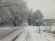 Нова Романівка з panoramio.com