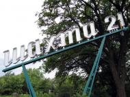 Оріхове з panoramio.com